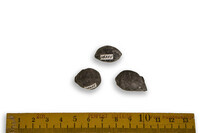 F 16355
<br/>
<br/>
<em></em>